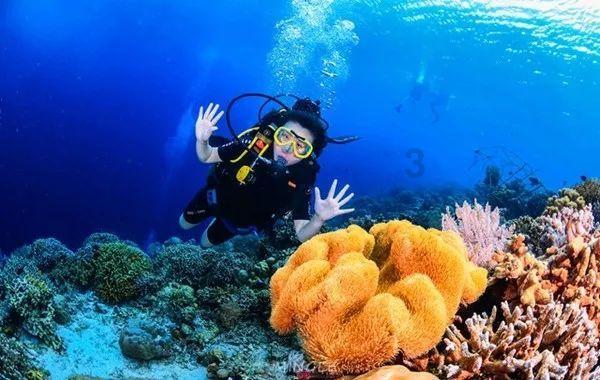 微信怎么删除多余的标签?|中国最权威的百科全书|生活百科